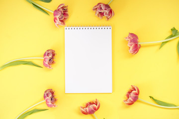 White notebook on the yellow background with beautiful pink flowers and green tulips leaves