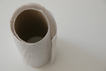 toilet paper roll close up