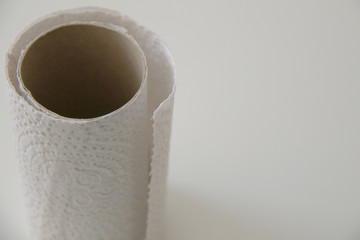 toilet paper roll close up