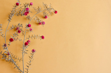  background with dried flowers