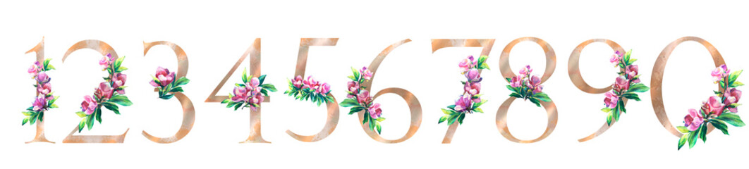 Gold numbers with flowers and leaves. Hand painted flowers of pink Magnolia. For wedding invitations, greeting card, poster and other floral design. Isolated