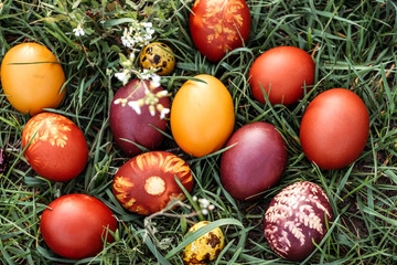 Fototapeta na wymiar Easter background, multi-colored chicken and quail eggs on bright natural grass background.