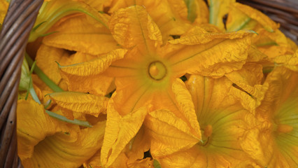 Fiori di zucca appena raccolti e messi in un cestino