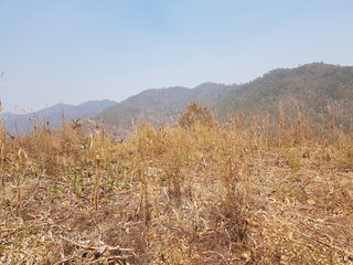 Bald, arid mountains from farming, moving along mountains and deforestation in northern Thailand