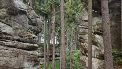 rocky wall in the forest