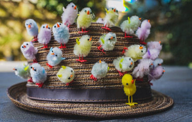 Easter background, hat with mini little chickens, funny decorations