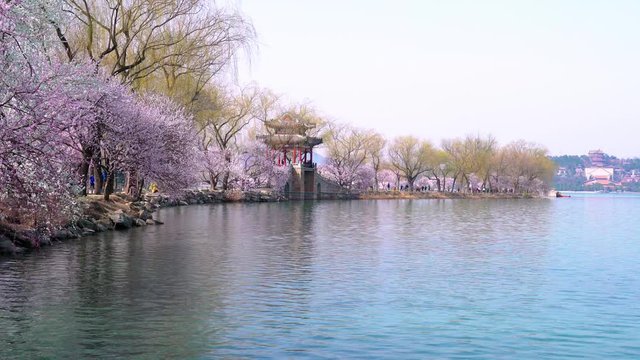 The west bank Spring of Kunming Lake in Summer Palace, Beijing, China. Spring in Beijing Summer Palace