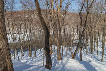 Towada Hachimantai National Park in winter