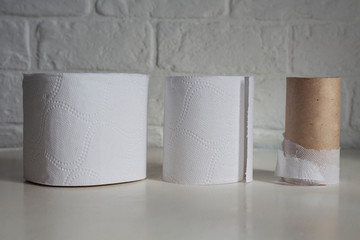Rolls of toilet paper on a white wall background.