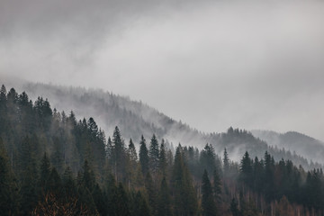 Dormant Carpathian Forest, Carpathian Falls