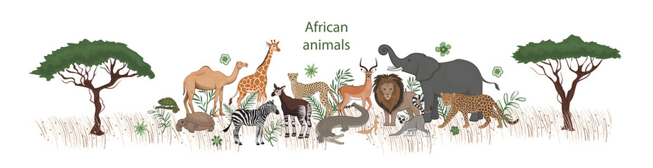 Vector banner, cartoon cute African animals with plants. Okapi, impala, camel, xerus, lion, chameleon, zebra, giraffe lemur cheetah crocodile leopard elephant tortoise