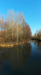 Spring landscape trees without leaves and their reflection in the river. Leafless Trees and River