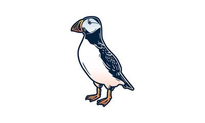 puffin isolated