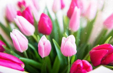 Beautiful tulips bouquet