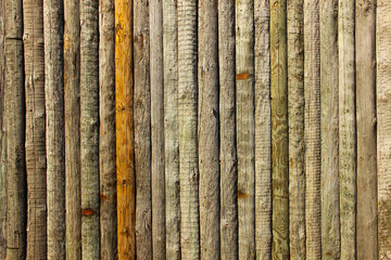 Wall built of different color logs. Old log texture. Vertical wooden log background.