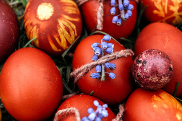 Easter background, Red Easter egg decorated with blue flower. on bright natural grass background.