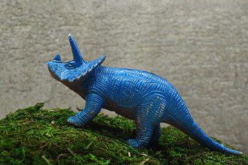 ceratops plastic stands on the hill of moss