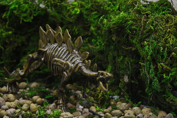 Fototapeta na wymiar the skeleton of a stegosaurus stands in the moss