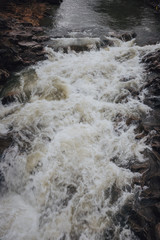 Fototapeta na wymiar Dormant Carpathian Forest, Carpathian Falls