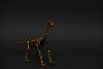 the skeleton of a Brachiosaurus Jurassic period