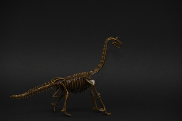 toy model of a Brachiosaurus skeleton