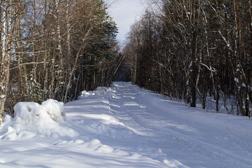 Obraz premium Snowy road in the winter forest. Sunny clear day.