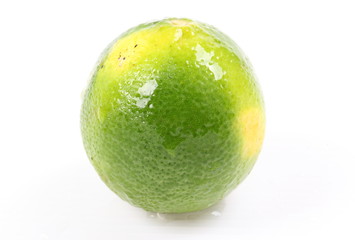 lime lemons group on white background