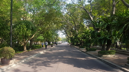 alley in the park