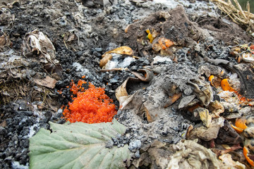 concept picky people. close-up red caviar in a garbage bin compost heap