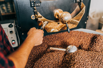 Man's hands holding freshly roasted aromatic coffee beans over a modern coffee roasting machine.