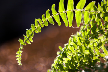 wiosna © Photo by mQ