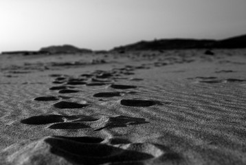 Sands