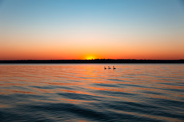 sunset over the sea