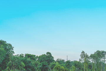 Obraz premium Blue sky with cloud bright Nature forest at. Border, Thailand - Malaysia.