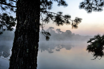 Sunrise Phu Kradueng Reservoir  Phu Kradueng National Park , located in Phu Kradueng District in Loei Province : Thailand 