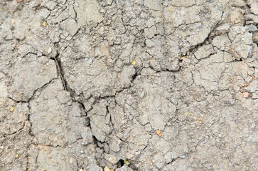 Close up dried soil background