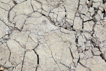 Close up dried soil background