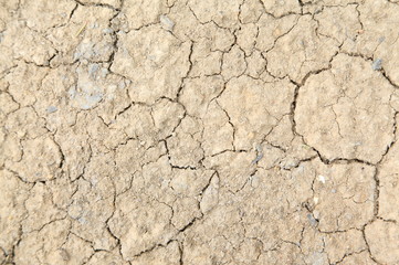 Close up dried soil background