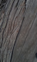 Detailaufnahme von altem Holz