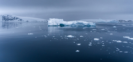 Iceberg in Antarctica sea. Port Lockroy.