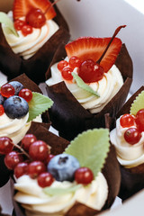 Bright cupcakes with strawberries and blueberries.