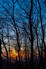 Sonnenuntergang Wald Buchen Eichen Silhouetten Äste Stämme Stamm Struktur Verzweigung Sonne Licht Dämmerung Farbverlauf orange lila violett blau Stimmung Atmosphäre Hoffnung Frühling Laub nackt 