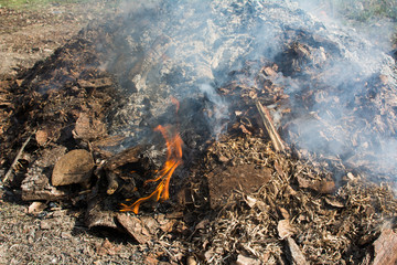 fire, blaze