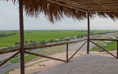 Ricefields near river. Camana Peru