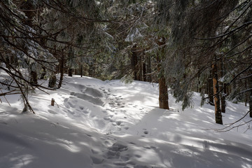 Winter in the mountains