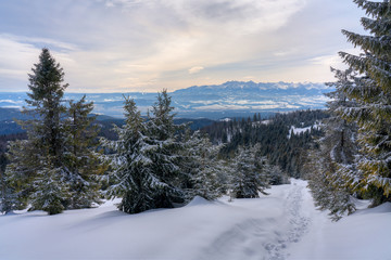 View of the Tatra Mountains