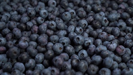 Fresh blueberries, fruit background delicious tasty barry lay on the ground.