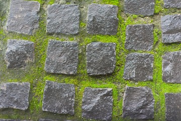 Background, texture, stone vintage square stones with light green mossy seams