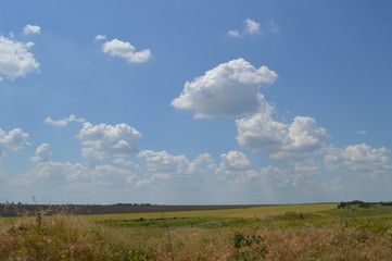 green field and blue sky