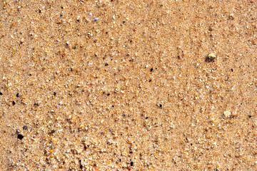 Flat lay surface of sandy beach with yellow sand and small stones background.
